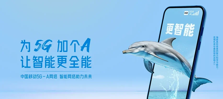 仪征市仪征市枣林湾旅游度假区 移动宽带
